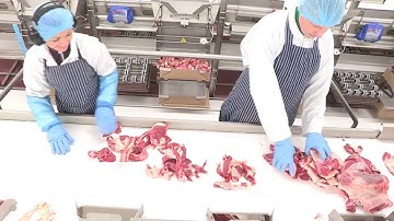 Trim Management System – Fat analysis, contaminant detection and batch control