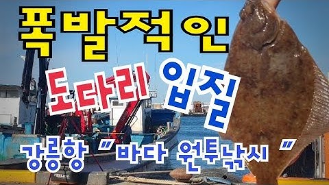 바다 원투낚시에 폭발적인 도다리 입질,강릉항 내항포인트,갯지렁이미끼에 도다리입질