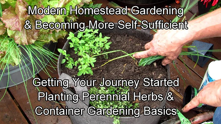 Modern Homestead Gardening & Becoming Self-Suffici...