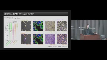 CellposeSAM: superhuman generalization for cellular segmentation