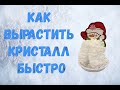 Как вырастить кристалл быстро в домашних условиях