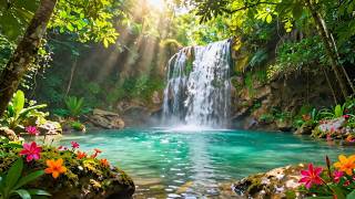 Harmony of Nature 🌿 Peaceful Nature Music for Relaxation & Inner Calm