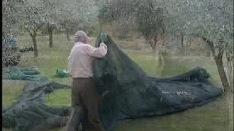 Cos'è la multifunzionalità delle imprese agricole?