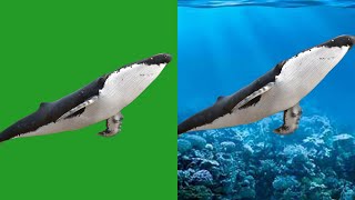 Chroma of the giant whale in the deep sea: “Amazing chroma” - creative chroma - green screen