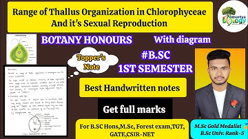 Range of Thallus Organization in Algae(Chlorophyceae)and it