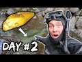 I Broke My BIGGEST GOLD NUGGET RECORD In New Zealand!