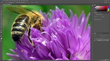 Navigating the Document Window Adobe Photoshop Tutorial (Part-04)