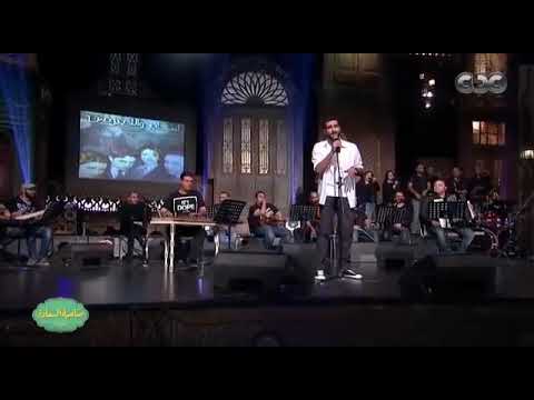 شرنوبي اصحاب ولا بيزنس