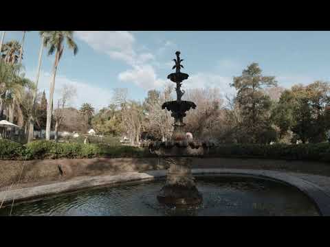 Video: Caminando Sobre Las Aguas En El Jardín Botánico