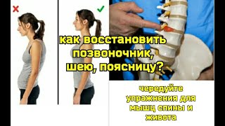 Как Спасти Позвоночник, Шею, Поясницу От Грыж? Как Выбрать Правильные Упражнения?