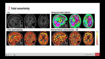 UNSURE2020 Long oral by Marc S Graham