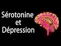 La srotonine et la dpression animation