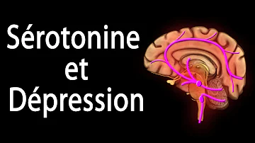 Comment remplacer la sérotonine ?