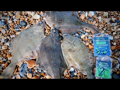 Plaice Fishing Brighton | How to Catch Plaice From Brighton Beach (Best Baits & Rigs)