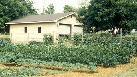 Introduction to Anthropological food studies