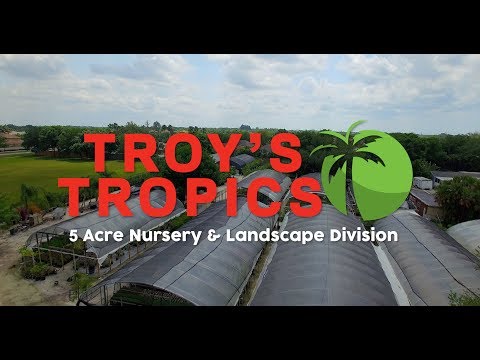 Troy's Tropics - Sarasota, FL