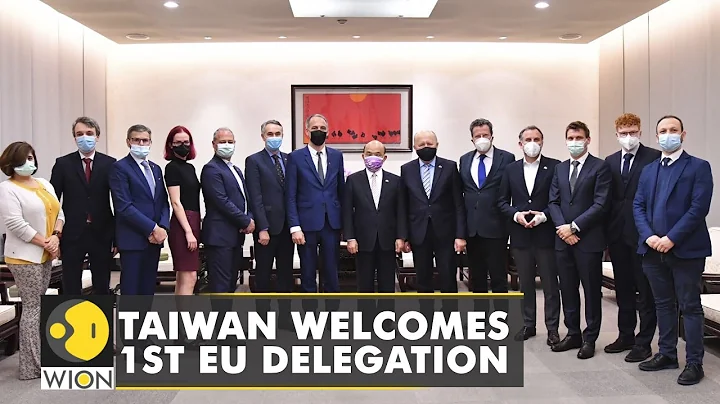 EU Parliament delegation visits Taiwan for the 1st time | WION News | World English News | China - DayDayNews