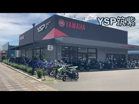 YSP筑紫| BDSバイクセンサー