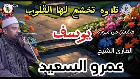 الشيخ عمرو السعيد القارئ جمهورية مصر العربية ما تيسر من سوره يوسف 🎤🎧 تلاوه نادره