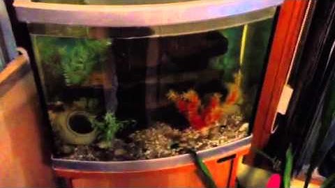 Paul Talbot warning what to be careful of when changing fil