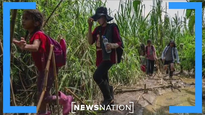 Panama's new president to close Darien Gap | NewsNation Live