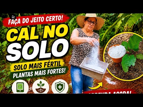 Como Usar Cal nas Plantas e Para Que Serve? Benefícios e Cuidados!  @vidanocampojs