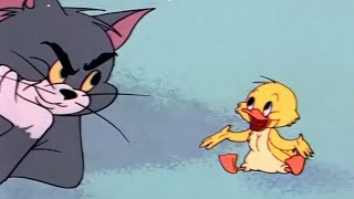 Tom and Jerry Happy Go Ducky - Tom and Jerry Episode 110