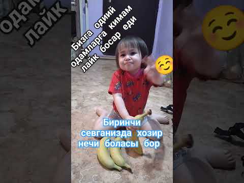 Миржалол нематов (Шахзода диёра ) - YouTube