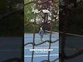 Six courts, fresh air, pure pickleball #Shorts #pickleball #summer | Woodbridge, Suffolk
