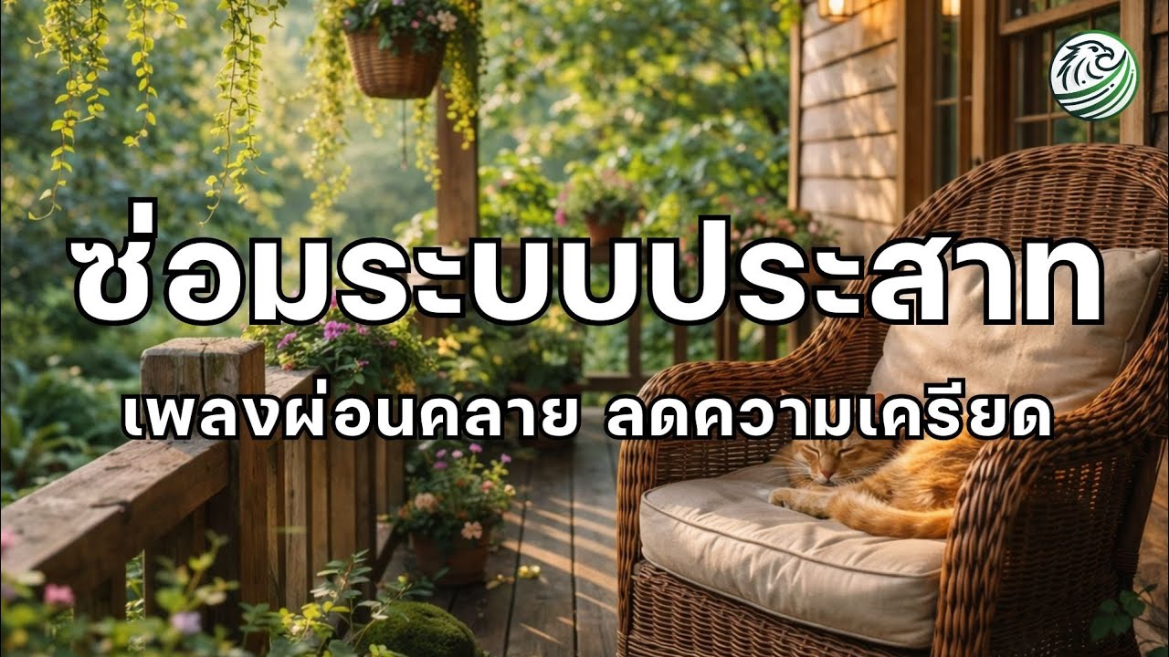 เพลงผ่อนคลาย เพลงซ่อมระบบประสาท ช่วยปรับคลื่นสมองให้เข้าสู่ภาวะผ่อนคลาย ดนตรีปรับคลื่นสมอง เพลงบำบัด