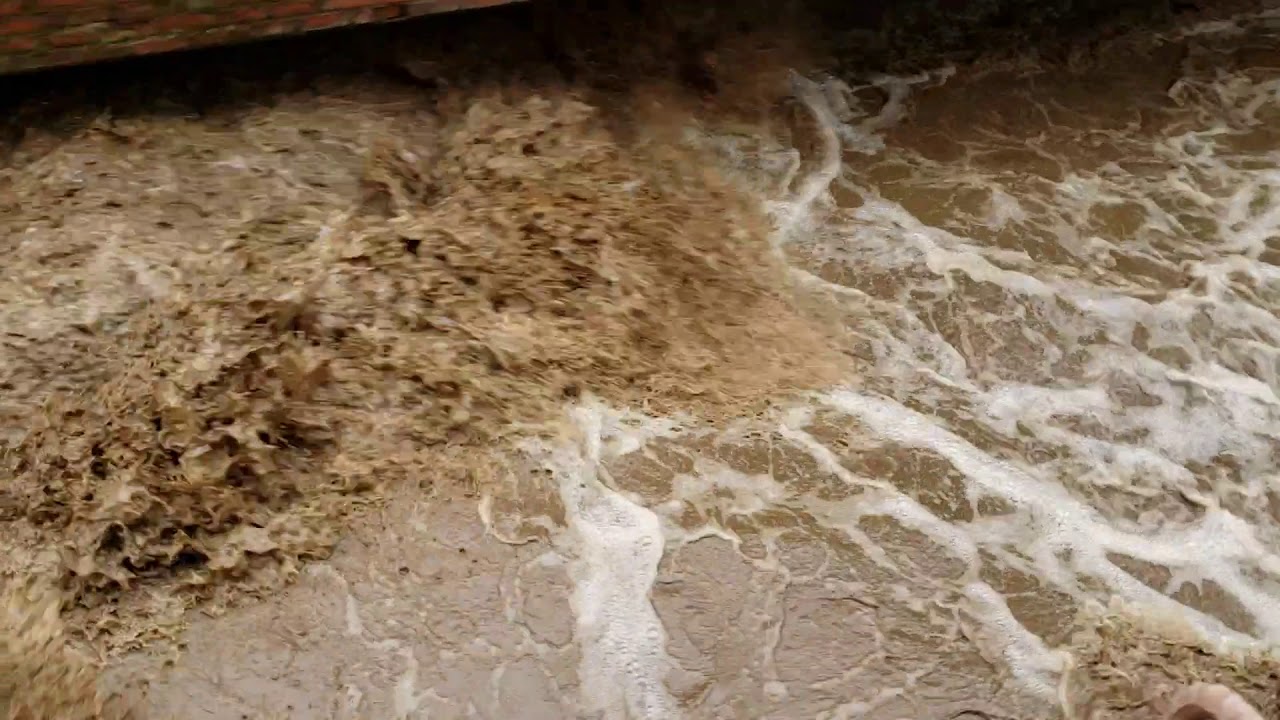 Land Title Plaza 2 Walla Walla Flood 2020 1080p30fps YouTube