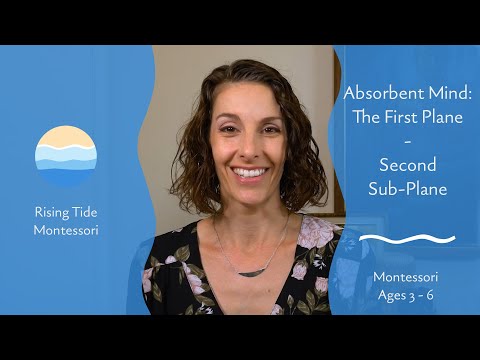 Absorbent Mind: The First Plane - Second Sub-Plane