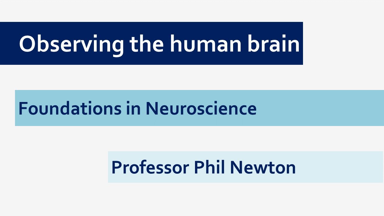 Observing Brain Observing the human brain - YouTube