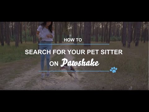 How to search for a pet sitter on Pawshake