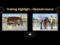 SOLD! MU Dressed to Invest – 2022 Appendix AQHA Filly – Training Highlight