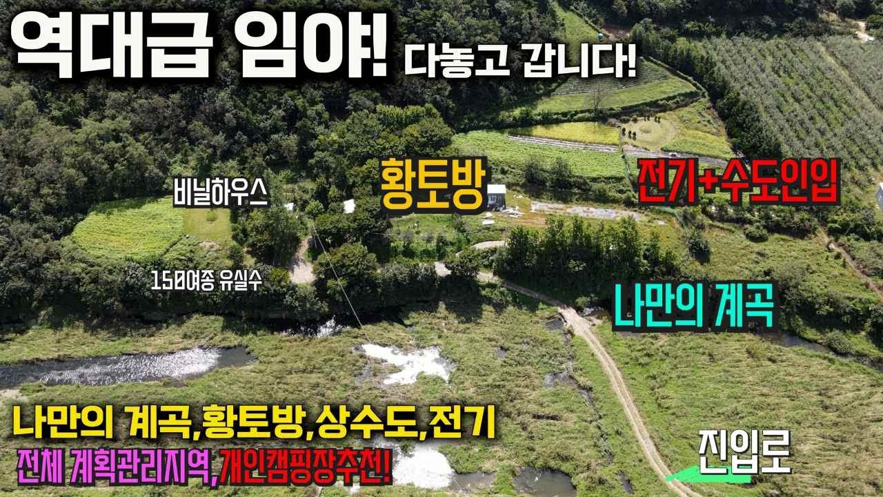 10년을 정성껏 가꾼 역대급 임야! 몸만오시면 됩니다~황토방,전기,수도,하우스 나만의 계곡까지 전체가 계획관리지역 개인캠핑까지 가능한 누구나찾은 임야매물 세상사는 부동산