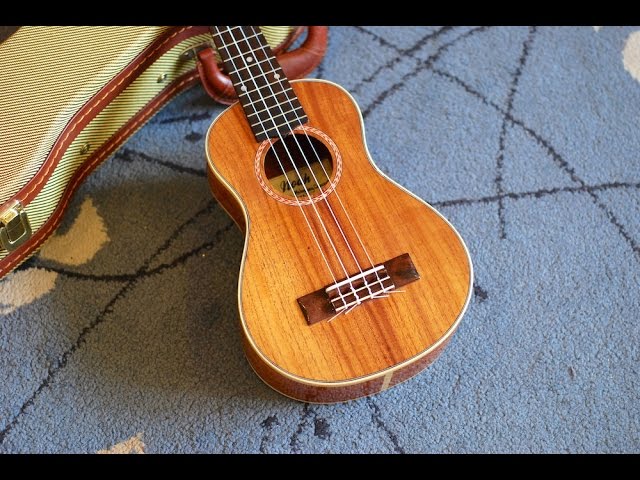 GOT A UKULELE REVIEW - Noah Mahogany Concert ukulele - YouTube