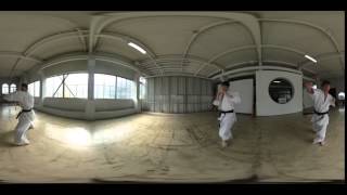 Karate 360 Sample