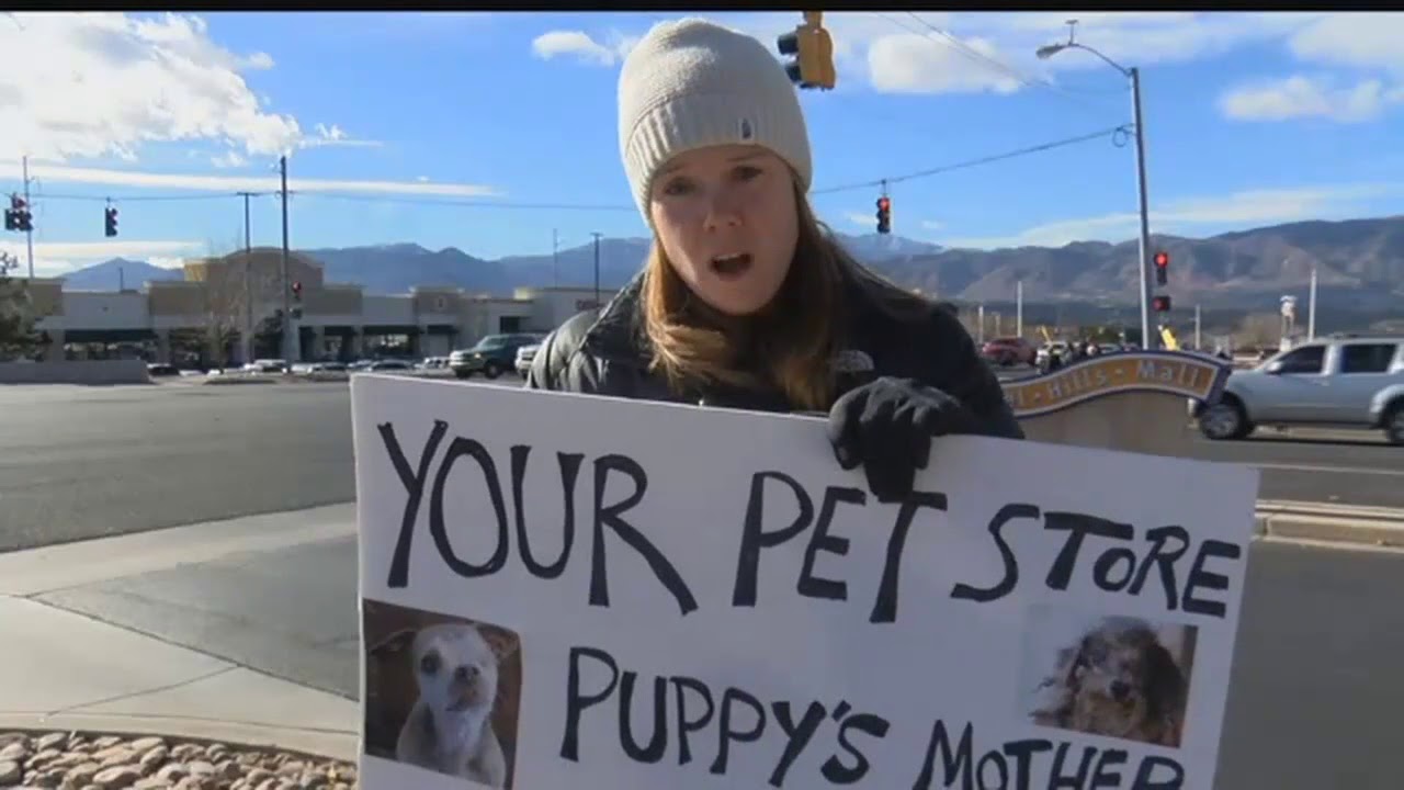 Protesters gather in hopes to ban retail pet stores within city limits