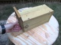 How to Make a Squirrel Box