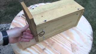 How to Make a Squirrel Box