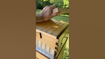 Adding wax to plastic frames #beekeeping #honey #beekeeper #flowhive #bees #beeswax #wax #beehive
