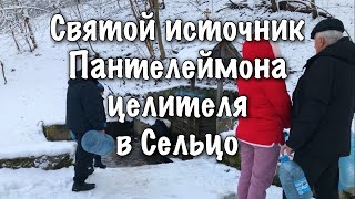 Святой источник Пантелеймона целителя в Сельцо Брянского района