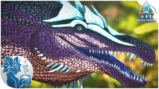 DragonHeart's HAPIPALUS Spotlight | ARK: Ascended