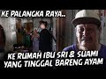 IBU SRI DAN SUAMINYA JUALAN GORENGAN DEMI MENCUKUPI KEBUTUHAN.. SELAMA HIDUP RUMAHPUN MASIH NUMPANG