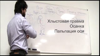 Хлыстовая травма и оси. Часть 2