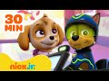 Patrulha Canina | Resgates Mais Audaciosos de Chase e Skye! 🚨 | Compilação de 30 Minutos | Nick Jr.