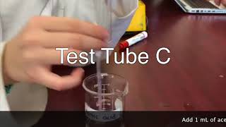 LAB Ester Synthesis