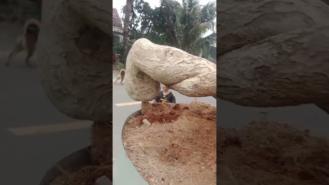 chia sẽ và glae e duối đổ nu chân rễ nôm quái thai haha