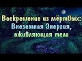 Воскрешение из мёртвых: Внеземная Энергия, оживляющая тела